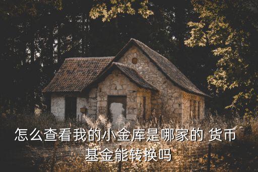 怎么查看我的小金庫是哪家的 貨幣 基金能轉換嗎