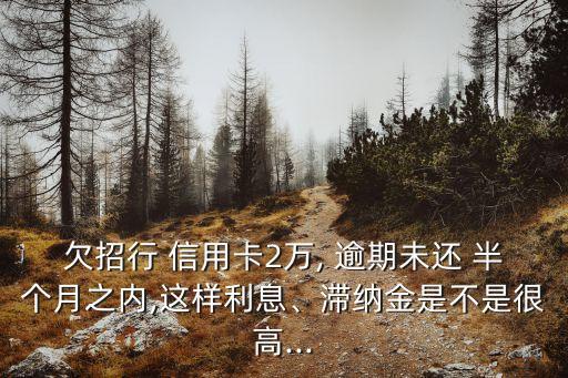 欠招行 信用卡2萬(wàn), 逾期未還 半個(gè)月之內(nèi),這樣利息、滯納金是不是很高...