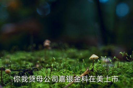 上?；ヂ?lián)網(wǎng)金融行業(yè)協(xié)會,南寧市互聯(lián)網(wǎng)金融行業(yè)協(xié)會錢盆網(wǎng)