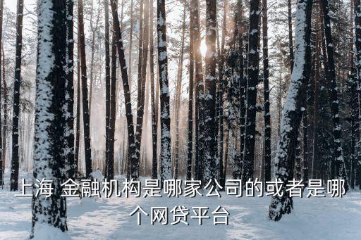 上海 金融機(jī)構(gòu)是哪家公司的或者是哪個網(wǎng)貸平臺