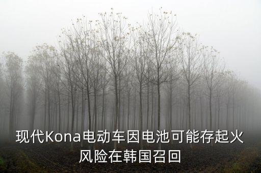 現(xiàn)代Kona電動(dòng)車因電池可能存起火風(fēng)險(xiǎn)在韓國召回