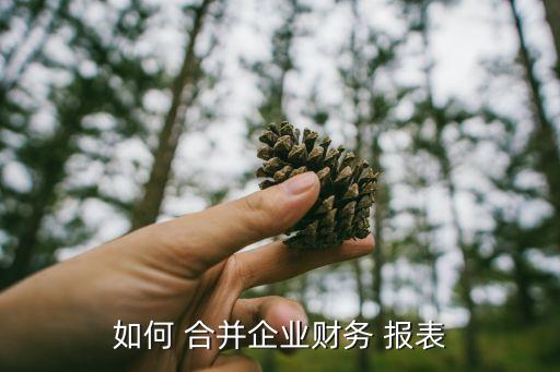 如何 合并企業(yè)財(cái)務(wù) 報表