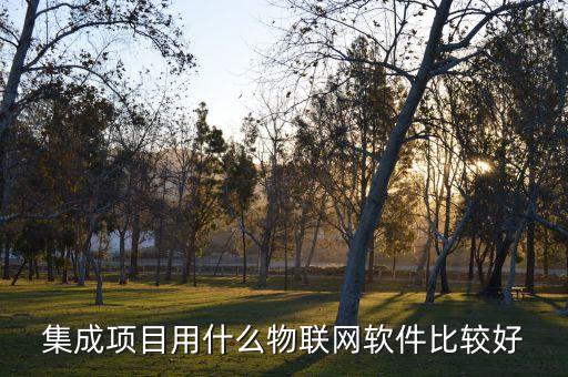 集成項目用什么物聯(lián)網軟件比較好