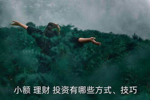  小額 理財 投資有哪些方式、技巧