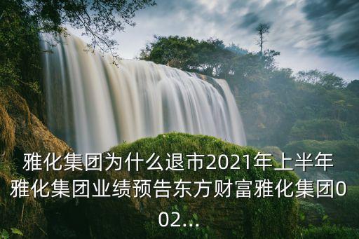 雅化集團(tuán)為什么退市2021年上半年雅化集團(tuán)業(yè)績預(yù)告東方財富雅化集團(tuán)002...