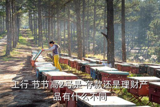 工行 節(jié)節(jié)高2號是 存款還是理財產品有什么不同