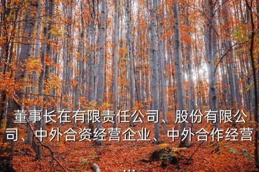股份公司董事長產生方式,現任鴨鴨股份公司董事長