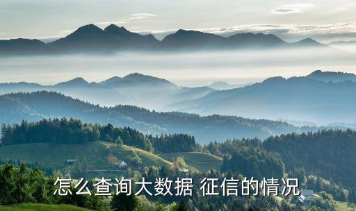 怎么查詢大數據 征信的情況