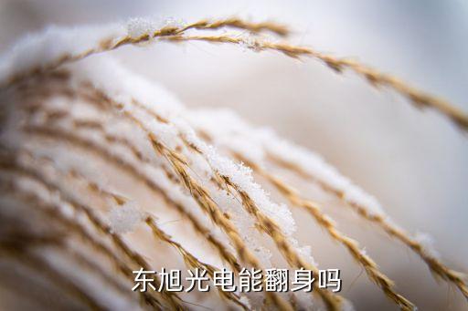 東旭科技集團有限公司,東旭藍天生態(tài)環(huán)?？萍加邢薰?/></a></span><span id=