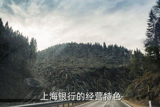 上海銀行財(cái)富管理部門(mén)好么
