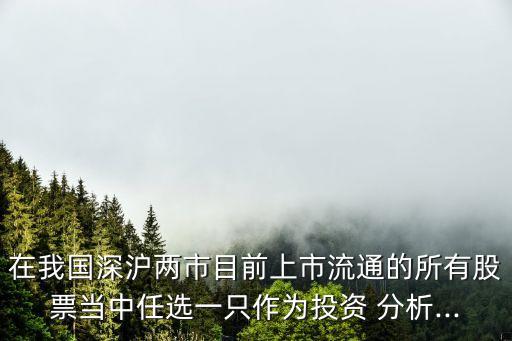 在我國深滬兩市目前上市流通的所有股票當中任選一只作為投資 分析...