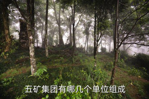  五礦集團(tuán)有哪幾個單位組成