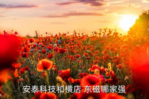 東磁集團(tuán)采購平臺