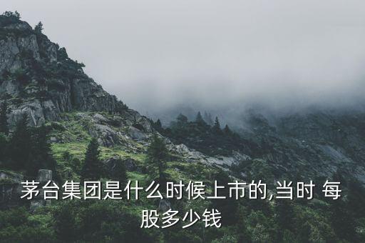 茅臺集團(tuán)是什么時(shí)候上市的,當(dāng)時(shí) 每股多少錢