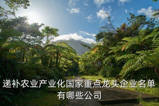 遞補(bǔ)農(nóng)業(yè)產(chǎn)業(yè)化國家重點龍頭企業(yè)名單有哪些公司