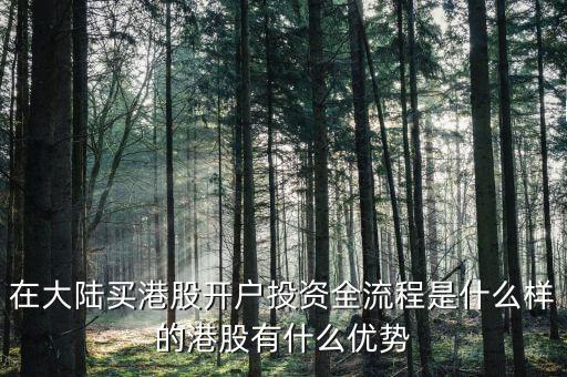 在大陸買(mǎi)港股開(kāi)戶(hù)投資全流程是什么樣的港股有什么優(yōu)勢(shì)