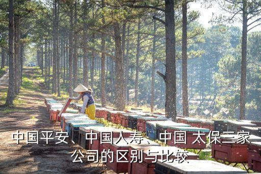 中國平安、中國人壽、中國 太保三家公司的區(qū)別與比較