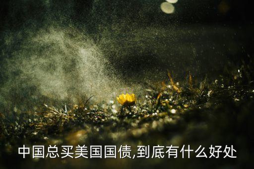 中國(guó)總買美國(guó)國(guó)債,到底有什么好處