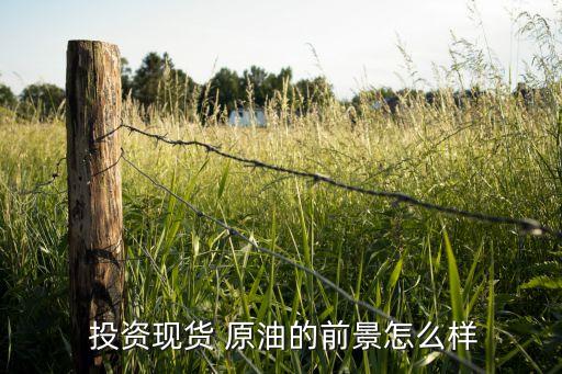  投資現貨 原油的前景怎么樣