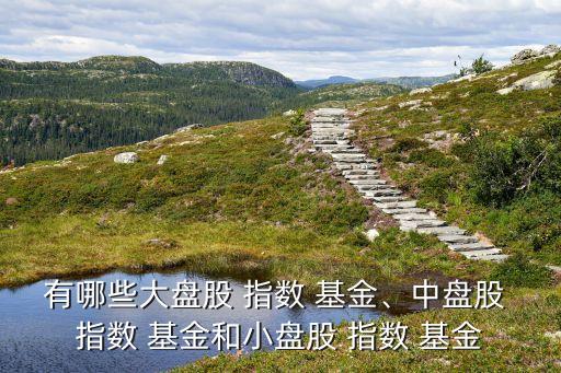 有哪些大盤股 指數(shù) 基金、中盤股 指數(shù) 基金和小盤股 指數(shù) 基金