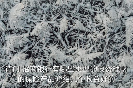 請問 招商銀行有哪些類型的投資理財(cái)?shù)谋ｋU(xiǎn)產(chǎn)品介紹幾個(gè)收益好的