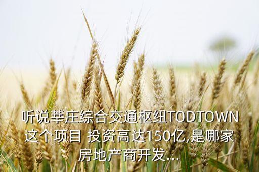 聽說莘莊綜合交通樞紐TODTOWN這個項目 投資高達150億,是哪家房地產商開發(fā)...