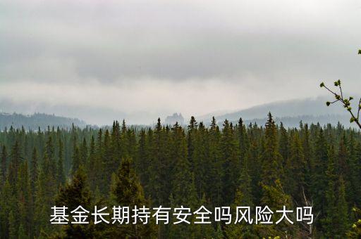  基金長期持有安全嗎風(fēng)險大嗎