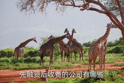 中國經濟投資股份有限公司