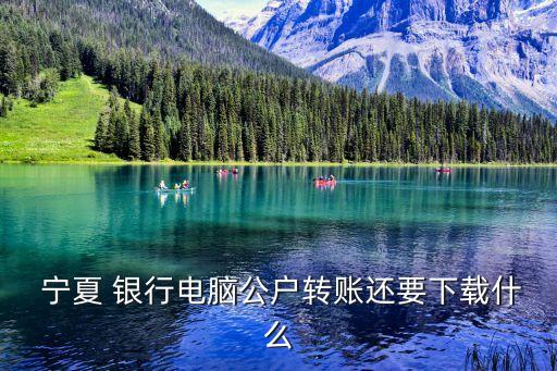  寧夏 銀行電腦公戶(hù)轉(zhuǎn)賬還要下載什么