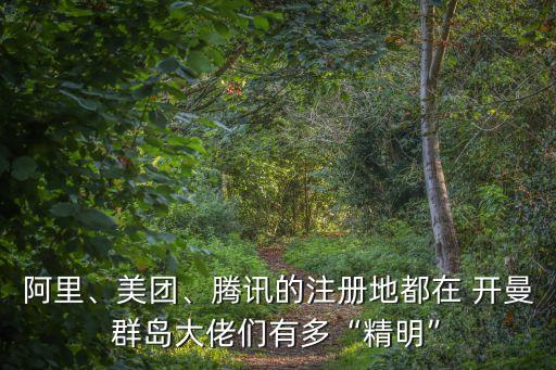 阿里、美團、騰訊的注冊地都在 開曼群島大佬們有多“精明”
