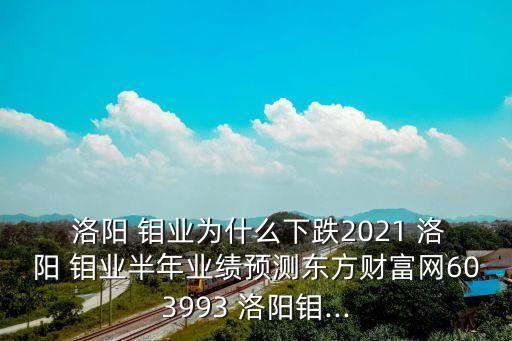  洛陽 鉬業(yè)為什么下跌2021 洛陽 鉬業(yè)半年業(yè)績預(yù)測東方財(cái)富網(wǎng)603993 洛陽鉬...
