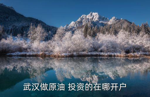武漢做原油 投資的在哪開(kāi)戶