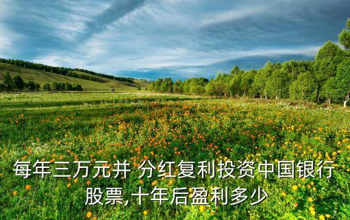 每年三萬元并 分紅復利投資中國銀行 股票,十年后盈利多少