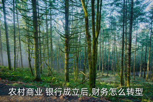 農(nóng)村商業(yè) 銀行成立后,財務怎么轉型