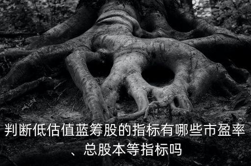 判斷低估值藍(lán)籌股的指標(biāo)有哪些市盈率、總股本等指標(biāo)嗎
