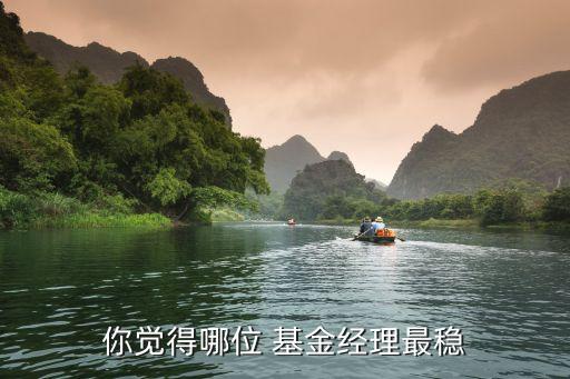 你覺(jué)得哪位 基金經(jīng)理最穩(wěn)