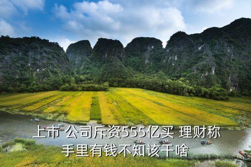  上市 公司斥資555億買(mǎi) 理財(cái)稱(chēng)手里有錢(qián)不知該干啥