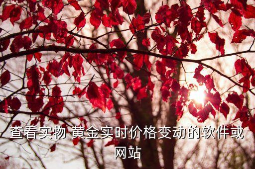 查看實(shí)物 黃金實(shí)時(shí)價(jià)格變動的軟件或網(wǎng)站