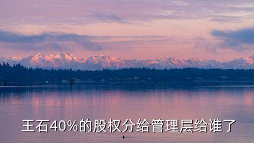  王石40%的股權分給管理層給誰了