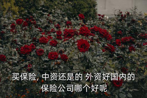 買保險, 中資還是的 外資好國內的 保險公司哪個好呢