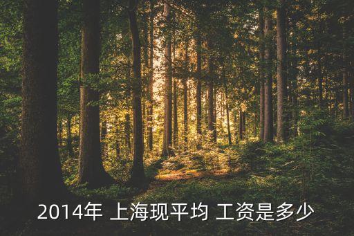 2014年 上?，F(xiàn)平均 工資是多少