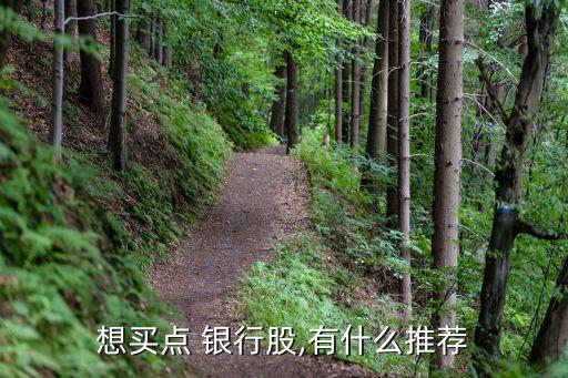 想買(mǎi)點(diǎn) 銀行股,有什么推薦