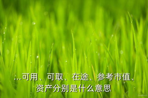 ...可用、可取、在途、參考市值、資產(chǎn)分別是什么意思
