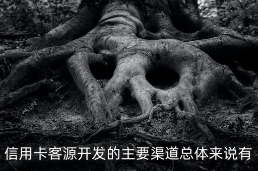 信用卡客源開(kāi)發(fā)的主要渠道總體來(lái)說(shuō)有