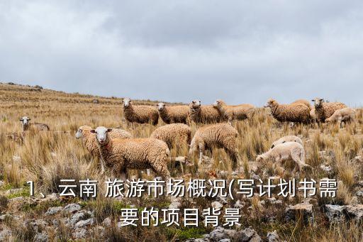 1、云南 旅游市場概況(寫計劃書需要的項目背景