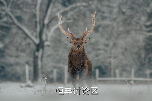 青島恒豐銀行盜用企業(yè)資質