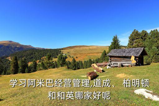 學(xué)習(xí)阿米巴經(jīng)營管理,道成、 柏明頓和和英哪家好呢