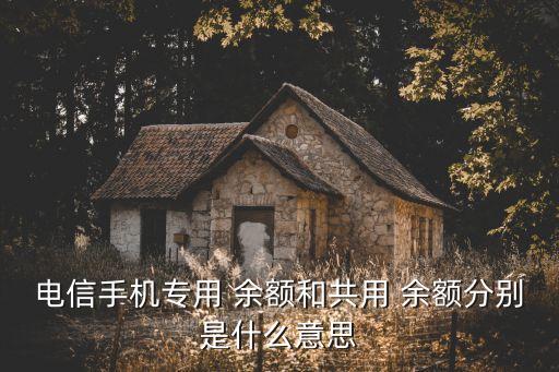 中國電信?？顚ｍ椨囝~