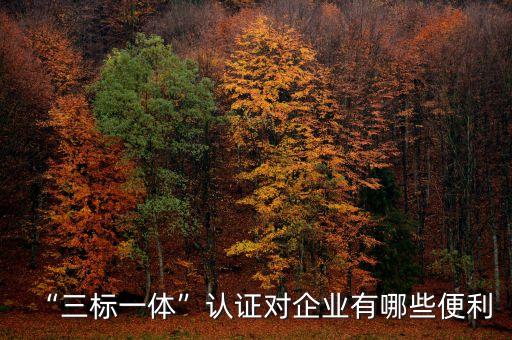 “三標(biāo)一體”認(rèn)證對企業(yè)有哪些便利