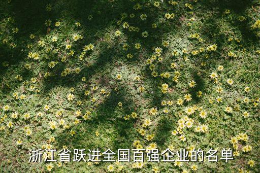 浙江省躍進全國百強企業(yè)的名單